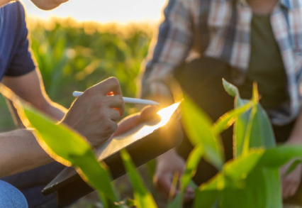 fertilización de fincas y servicios agrarios